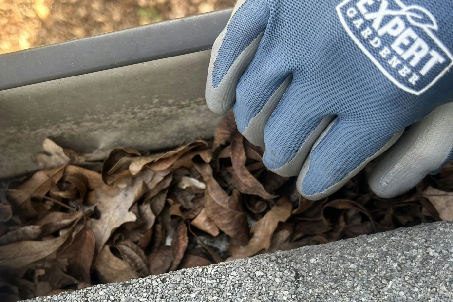 Gutter Cleaning Brownsburg